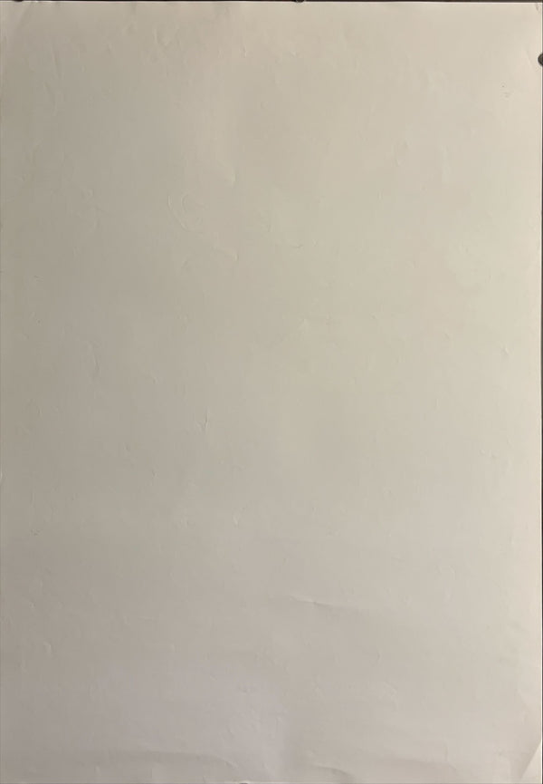 “Detective Conan: Private Eye in the Distant Sea” (名探偵コナン 絶海の探偵), Original Release Japanese Movie Poster 2013, B2 Size (51 × 73 cm) ZA692