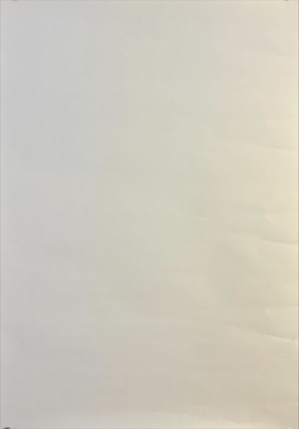 "AKIRA – DTS Sound Edition", Original DVD Release Japanese Movie Poster 2002, B2 Size (51 x 73cm) L260 B