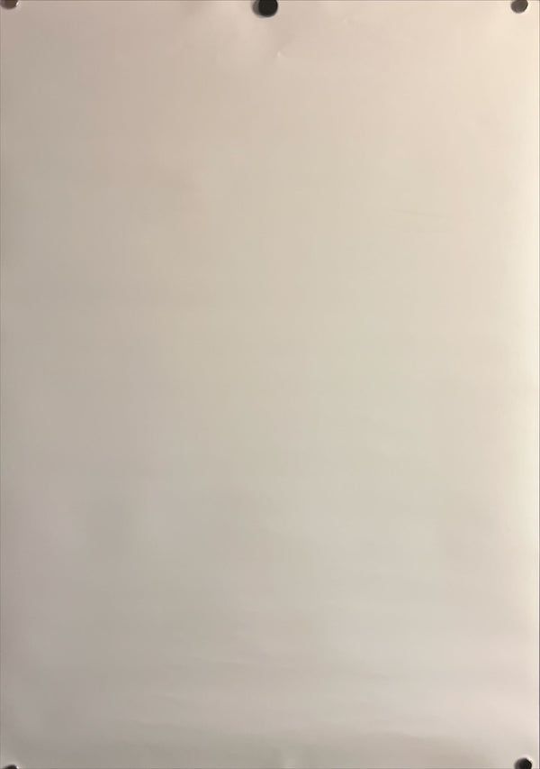 “The Boy and the Heron” (君たちはどう生きるか), Original Japanese B2 Teaser Movie Poster 2023, B2 Size (51 × 73 cm) ZA754