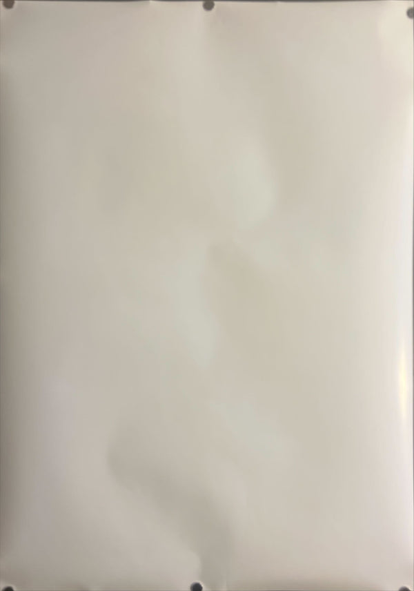 “Evangelion: 3.0 × UCC Coffee – Shinji & Kaworu” (ヱヴァンゲリヲン新劇場版:Q × UCC), Original Japanese Promotional Poster 2012, B2 Size (51 × 73 cm) ZA865
