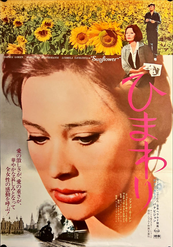 "Sunflower", Original Release Japanese Movie Poster 1974, B2 Size (51 x 73cm) J37