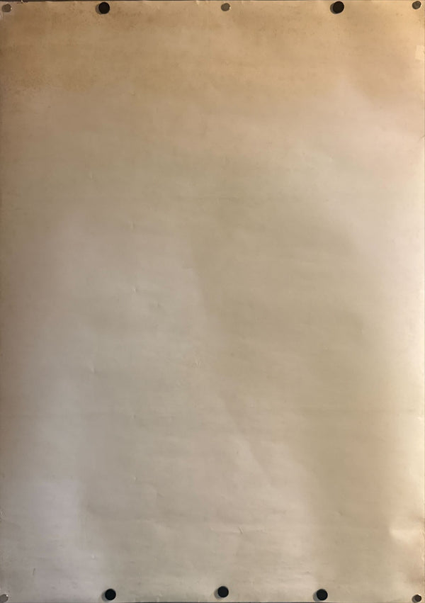 “Arcadia of My Youth” (わが青春のアルカディア), Original Release Japanese B1 Movie Poster 1982, Rare, B1 Size (72.8 × 103 cm)