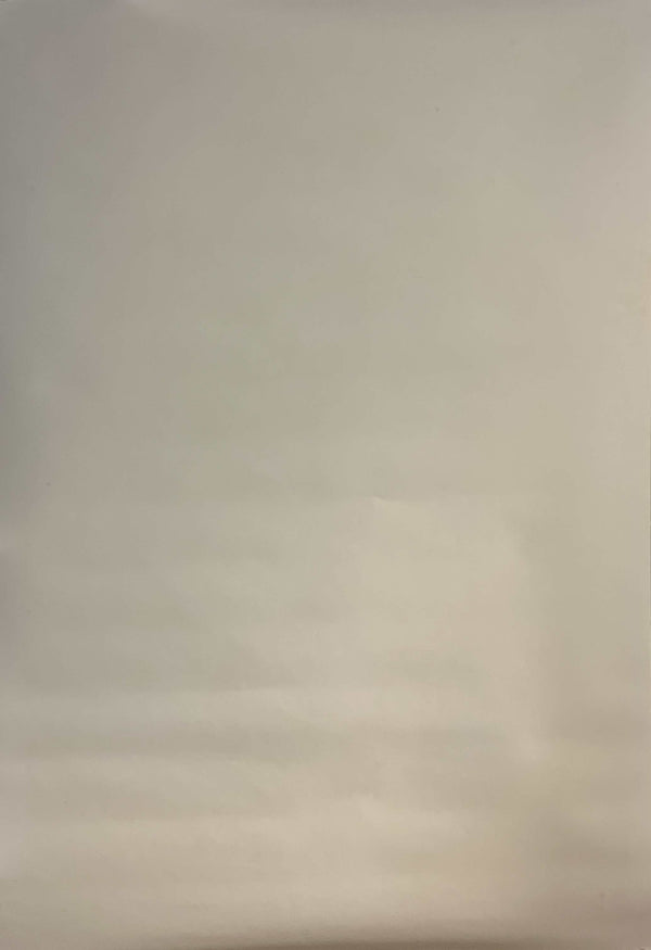 “Akira - Katsuhiro Otomo GENGA Exhibition – ‘Fire-Ball’ Main Visual”, Original Japanese Exhibition Poster 2012, B1 Size (73 × 103 cm) IA20