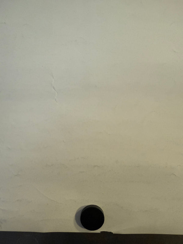 "Ghost in the Shell" (攻殻機動隊), Original Release Japanese Movie Poster 1995, Ultra Rare, B2 Size (51 × 73 cm) O103