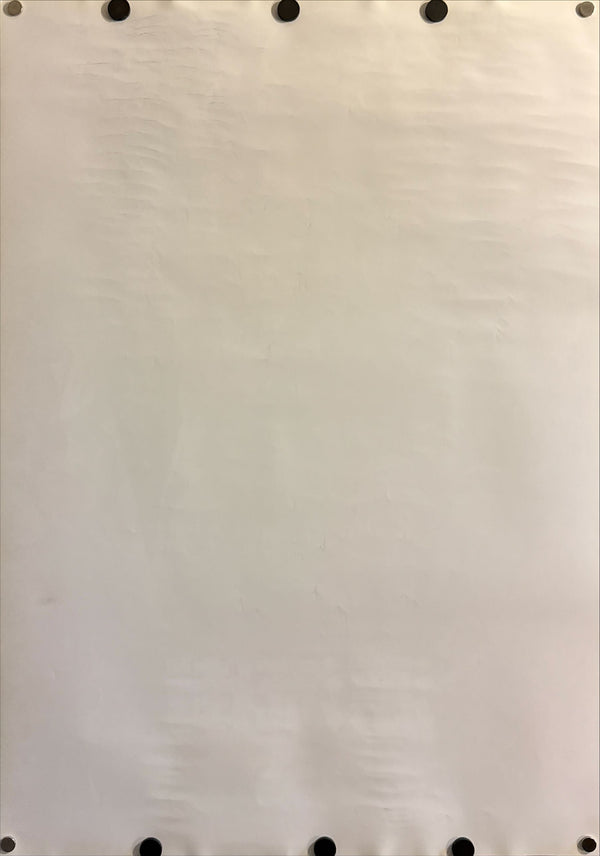 “The Hazard City” (漂流街), Original Release Japanese Movie Poster 2000, B2 Size (51 × 73 cm) O679