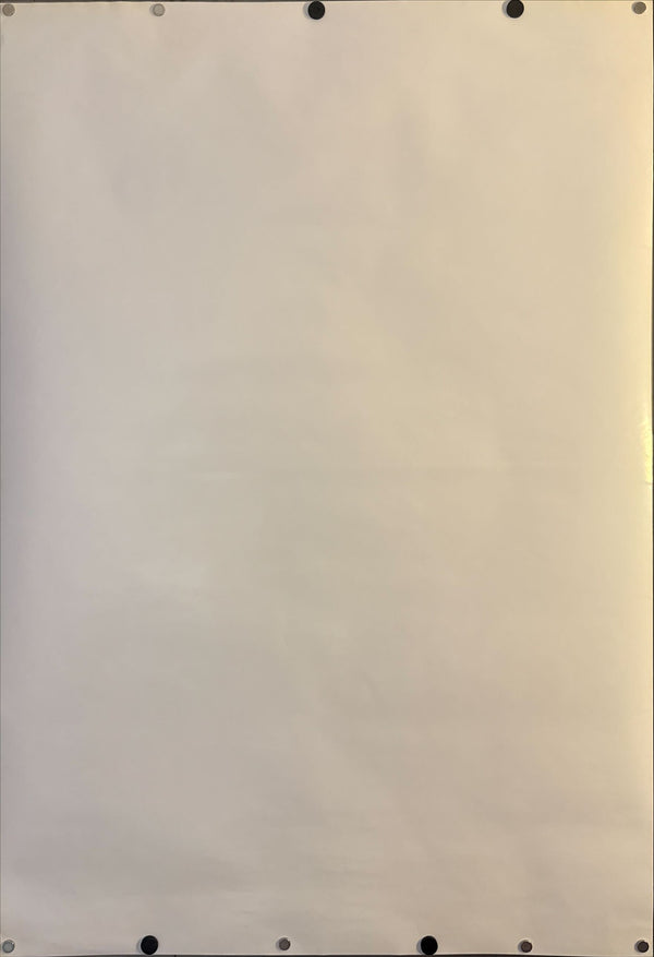 “Fighting Vipers 2” (ファイティングバイパーズ2), Original Japanese Arcade Poster 1998, Ultra Rare, B1 Size (c.71 × 103 cm)