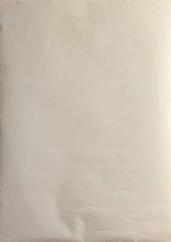 “Nagano 1998 — The XVIII Olympic Winter Games”, Official Olympic Winter Games Poster 1994, Ultra Rare B1 Size (c. 72.8 x 103cm)