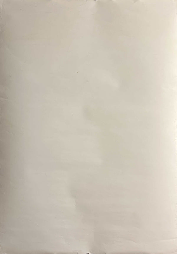 “Sapporo Reisei Karakuchi Nama” (サッポロ 冷製辛口〈生〉), Original Japanese Promotional Advertising Poster 2000, B2 Size (51 × 73 cm) C170A