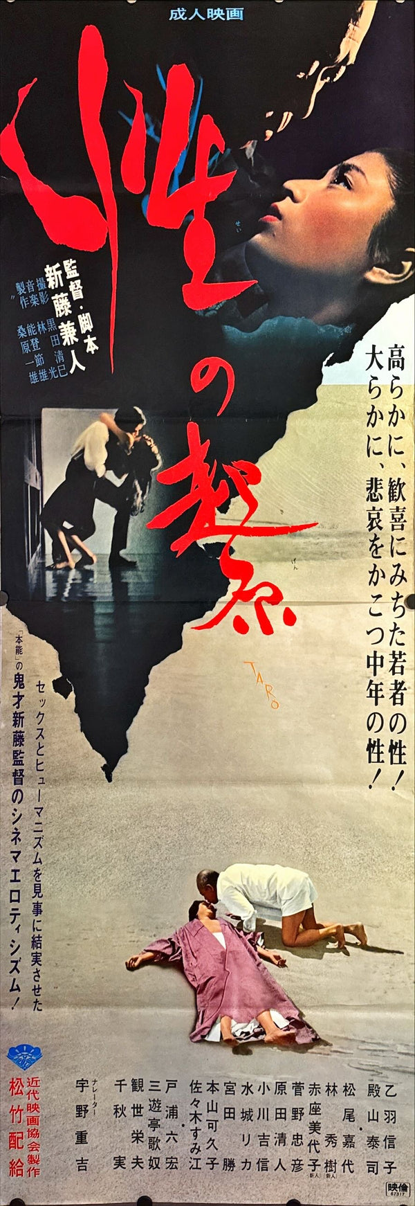 "The Origin of Sex", Original Release Japanese Movie Poster 1971, STB Size 20x57" (51x145cm) L96