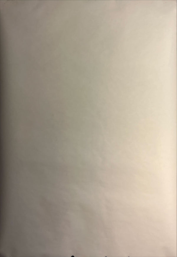 "YOKOO TADANORI- The Miraculous World of Edo Painting / Lineage of Eccentrics", Japanese Contemporary Art Poster, Original Release 2019, B0 Size (103 x 145cm)