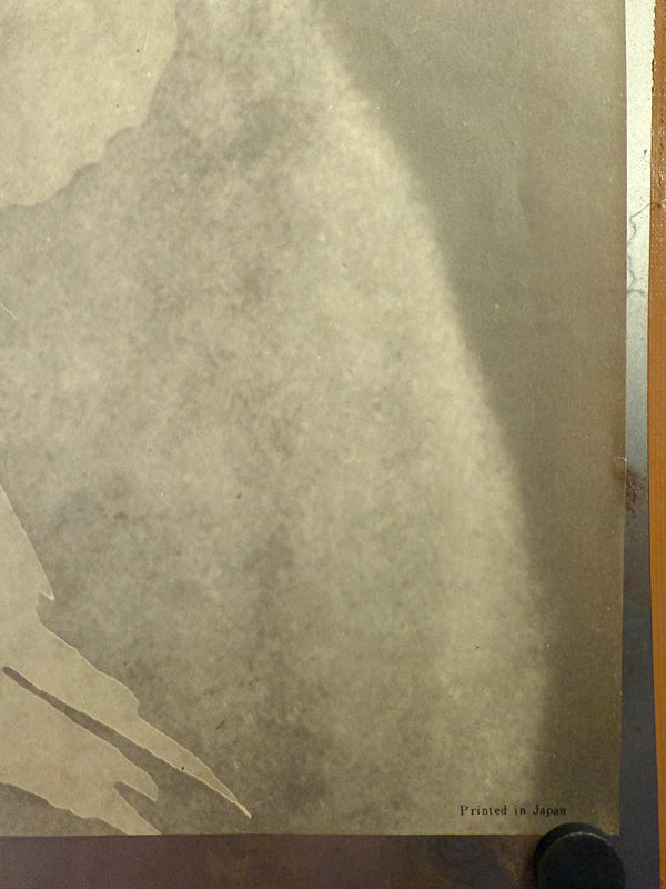 "Kwaidan", Original Release Japanese Export Movie Poster 1965, Ultra Rare, B1 Size (71 x 103cm) L100