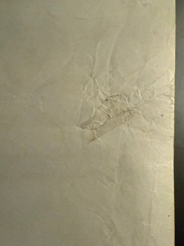 "Apocalypse Now", Original Release Japanese Movie Poster 1979, B2 Size (51 x 73cm) O244