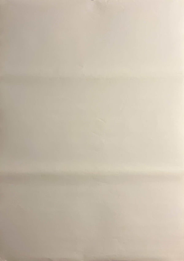 “One Piece Movie: The Desert Princess and the Pirates – Adventures in Alabasta” / 「ワンピース エピソード オブ アラバスタ 砂漠の王女と海賊たち」, Original Japanese Anime Movie Poster 2007, B2 Size (51 × 73 cm) F265