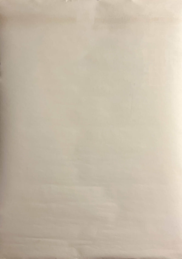 “Neon Genesis Evangelion: Genesis 0:10 — Episodes 19 & 20” (新世紀エヴァンゲリオン Genesis 0:10), Original Release Japanese Home Video Poster 1997, B2 Size (51 × 73 cm) F280