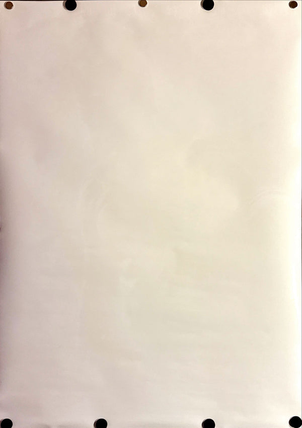 "300: Rise of an Empire", Original Release Japanese Movie Poster 2014, B2 Size (51 x 73cm) L115