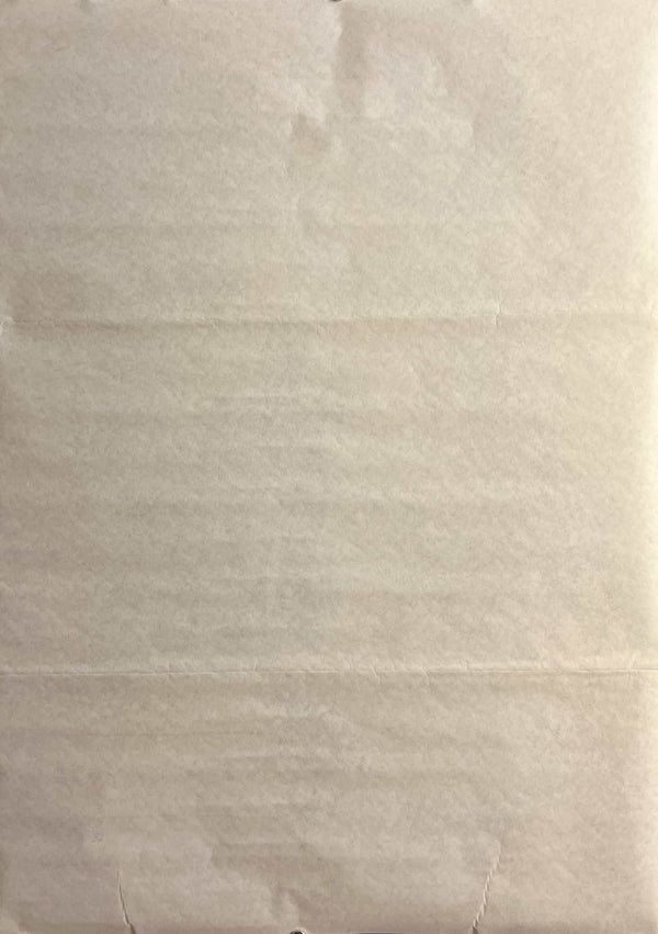 “Palindromes” / 「おわらない物語 アビバの場合」, Original Japanese Movie Poster 2005, B2 Size (51 × 73 cm) H296