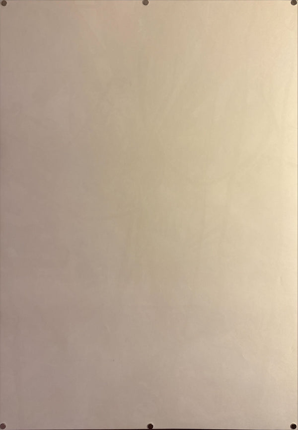 "TADANORI YOKOO - AMAZON", Japanese Contemporary Art Poster, Original Offset 1989, Ultra Rare, B1 Size (c.73 x 103cm)