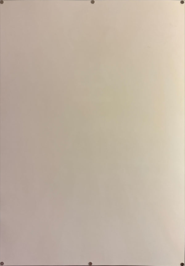 "TADANORI YOKOO - Echigo Beer Poster (Uehara Bräu)", Japanese Contemporary Art Poster, Original Offset 1998, Ultra Rare, Size (c.73 x 103cm)