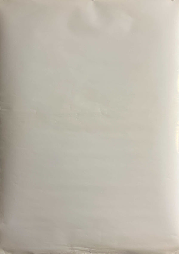 “The Irishman”, Original Japanese First Release Theatrical and Netflix Promotional Poster 2019, B2 Size (51 × 73 cm) M166