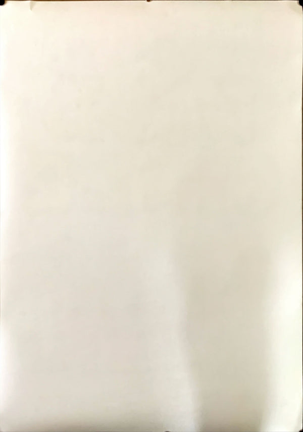 "Wild Style", Original Re-Release Japanese Movie Poster 2000`s, B1 Size