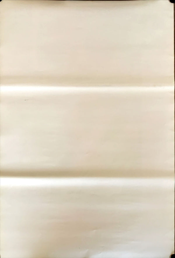 "Malcolm X", Original Release Japanese Movie Poster 1992, B2 Size (51 x 73cm)