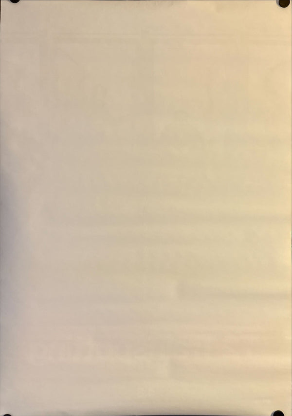 "T2 Trainspotting", Original Release Japanese Movie Poster 2017, B2 Size (51 x 73cm) M57