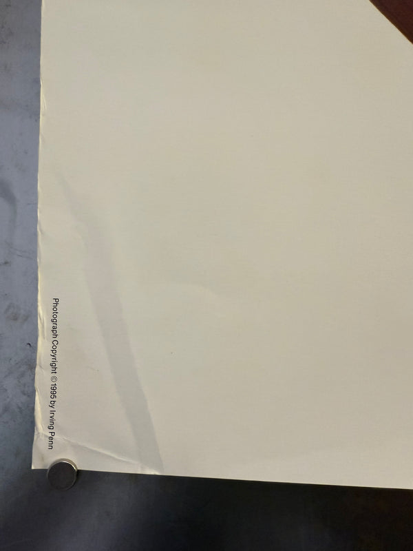 "Irving Penn × Issey Miyake (1995) - Tent Yellow Dress Poster", Japanese Contemporary Art Poster, Original Offset 1995, Ultra Rare, Size (c.102 x 72 cm)