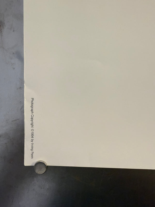 "Irving Penn × Issey Miyake (1994) - Bronze Outfit Poster", Japanese Contemporary Art Poster, Original Offset 1994, Ultra Rare, Size (c.102 x 72 cm)