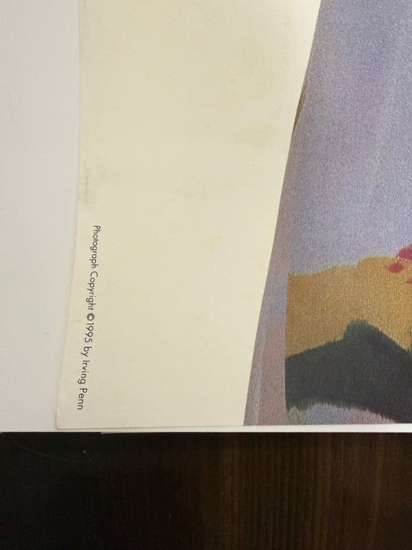 "Irving Penn × Issey Miyake (1996) - Colorful Outfit Poster", Japanese Contemporary Art Poster, Original Offset 1996, Ultra Rare, Size (c.102 x 72 cm)