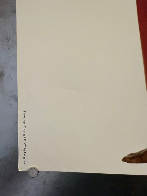 "Irving Penn × Issey Miyake (1996) - White and Black and Red Outfit Poster", Japanese Contemporary Art Poster, Original Offset 1996, Ultra Rare, Size (c.102 x 72 cm)