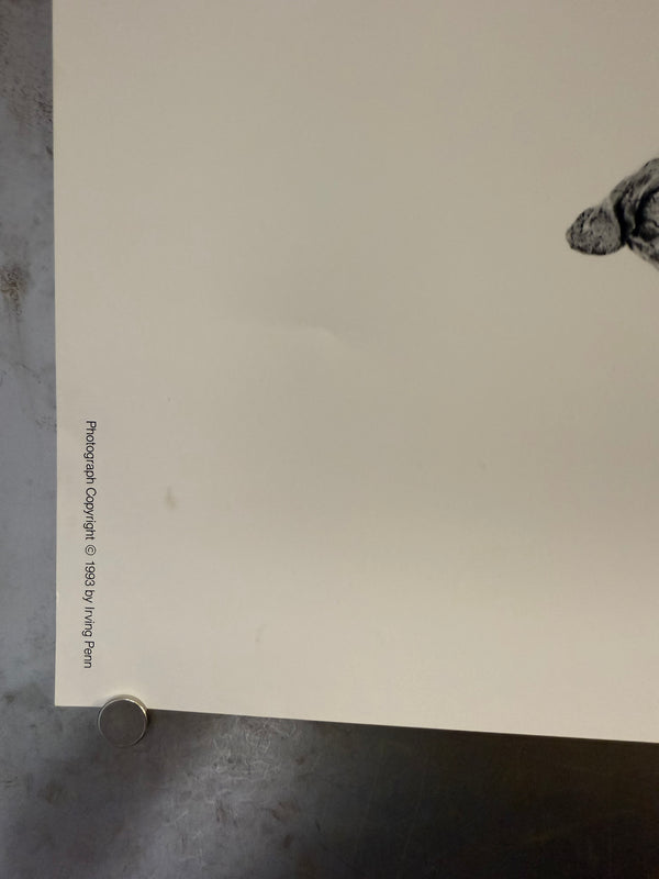 "Irving Penn × Issey Miyake (1993) - Silver Outfit Poster", Japanese Contemporary Art Poster, Original Offset 1993, Ultra Rare, Size (c.102 x 72 cm)