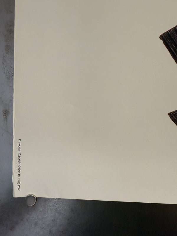 "Irving Penn × Issey Miyake (1994) - Black Outfit Poster", Japanese Contemporary Art Poster, Original Offset 1994, Ultra Rare, Size (c.102 x 72 cm)