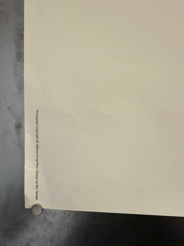 "Irving Penn × Issey Miyake (1999) - Blue Outfit Poster", Japanese Contemporary Art Poster, Original Offset 1999, Ultra Rare, Size (c.102 x 72 cm)