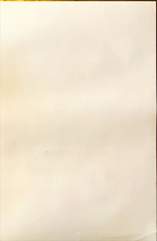 "Brooklyn's Finest", Original Release Japanese Movie Poster 2009, B2 Size (51 x 73cm)