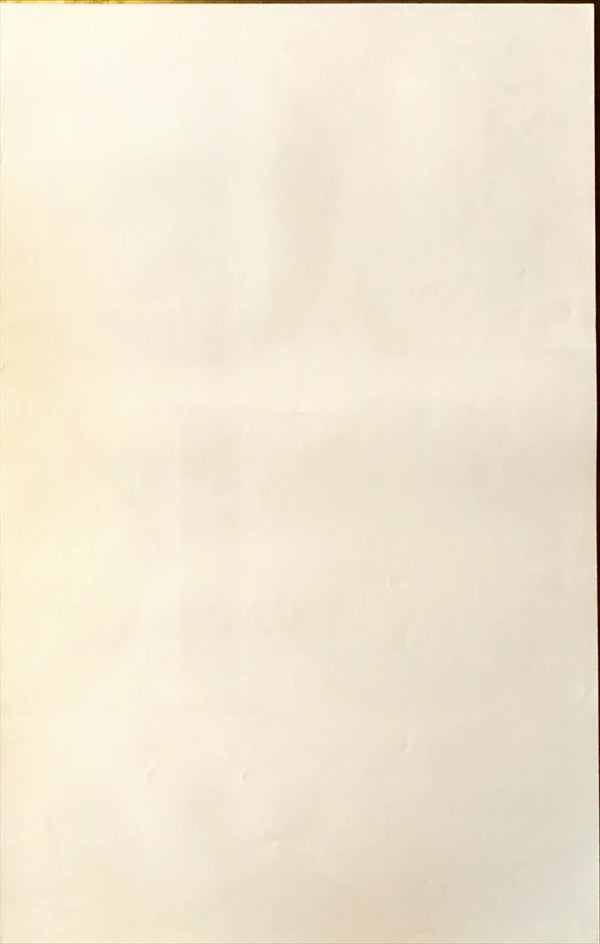 "Look", Original Release Japanese Movie Poster 2007, B2 Size (51 x 73cm)