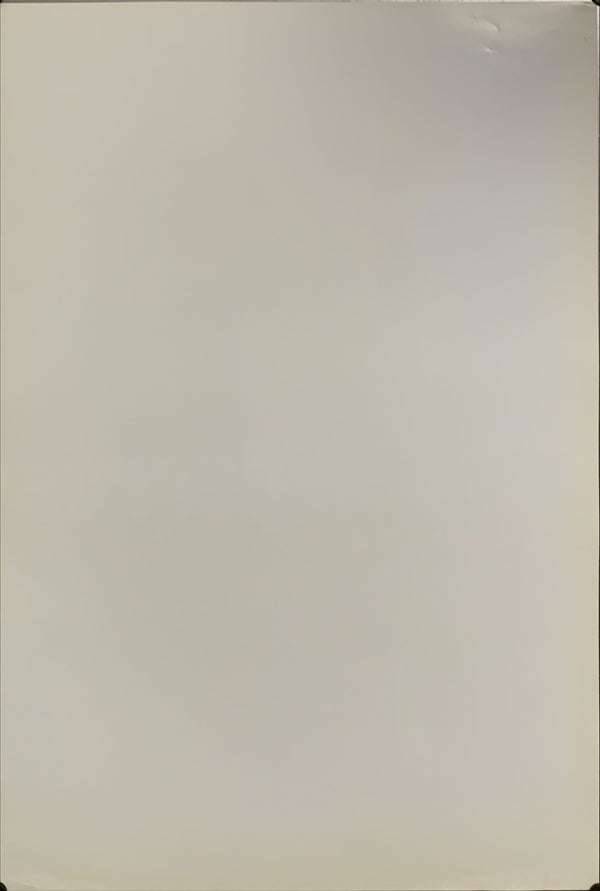 "Amores perros", Original Release Japanese Poster 2000, B2 Size (51 x 73cm) - A30