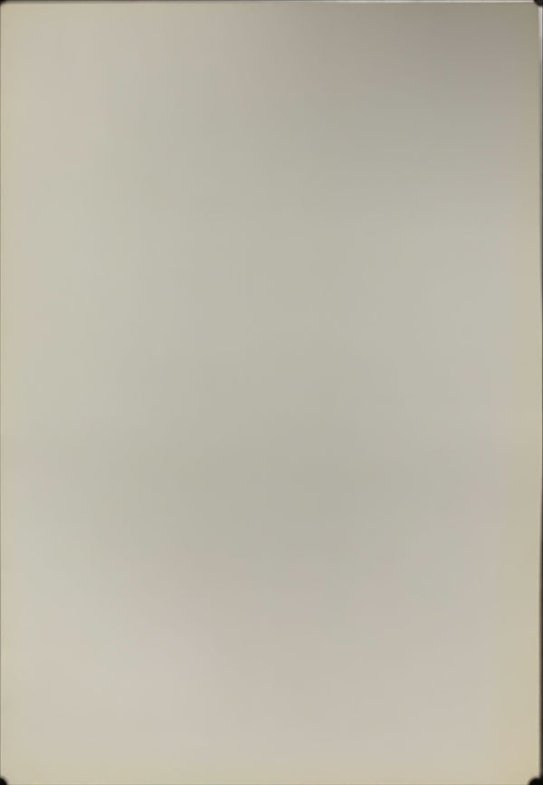 "New York Doll", Original Release Japanese Poster 2005, B2 Size (51 x 73cm) - A34