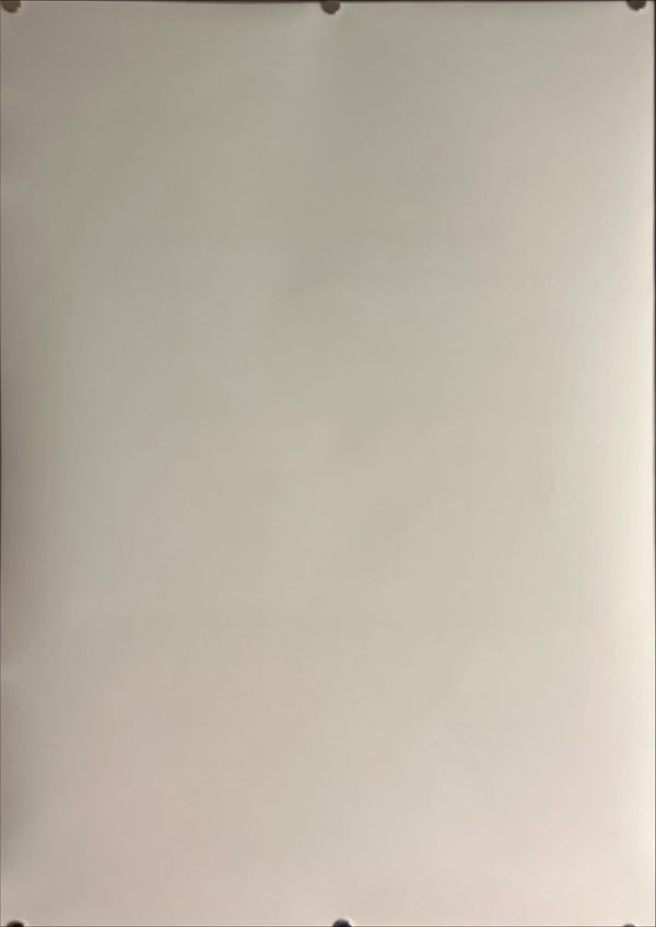 "Amelie", Original Release Japanese Movie Poster 2001, B2 Size (51 x 73cm) K2