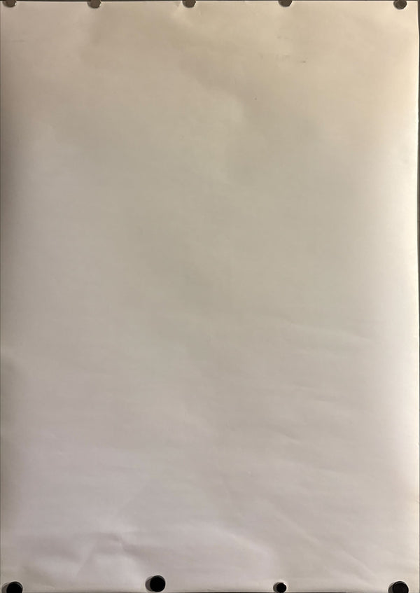 “Summer of Sam”, Original Japanese Video Release Poster 2000, B2 Size (51 × 73 cm) ZA131