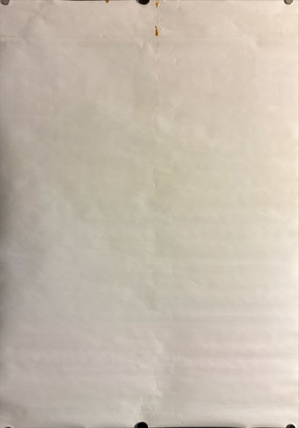 "T2 Trainspotting", Original Release Japanese Movie Poster 2017, B2 Size (51 x 73cm) M104