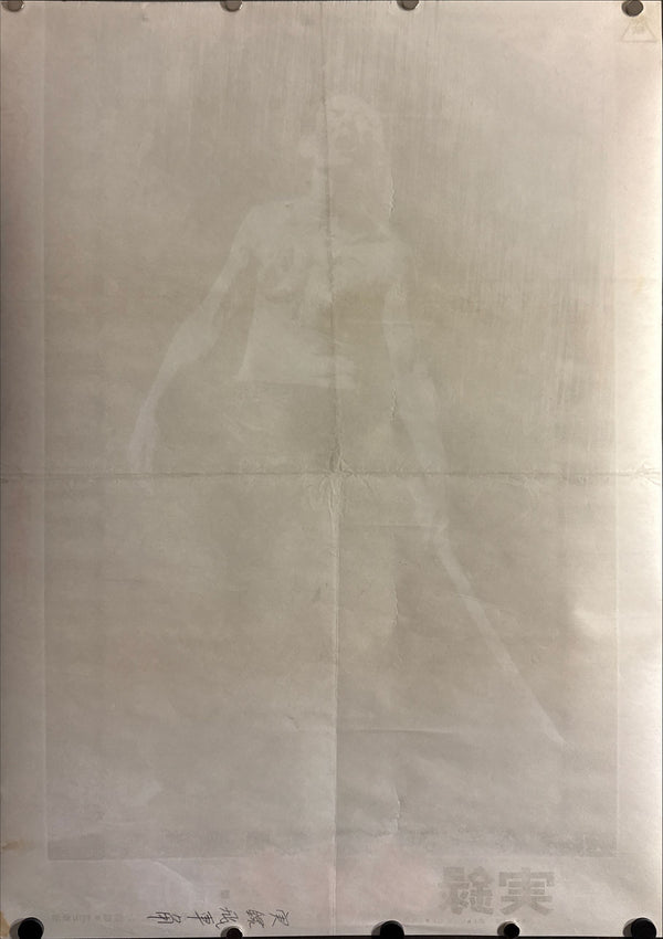 "True Account Of Hikashaku: A Wolf`s Honor"(実録飛車角 狼どもの仁義), Original Japanese B2 Movie Poster 1974, B2 Size (c. 51 × 73 cm) ZA168