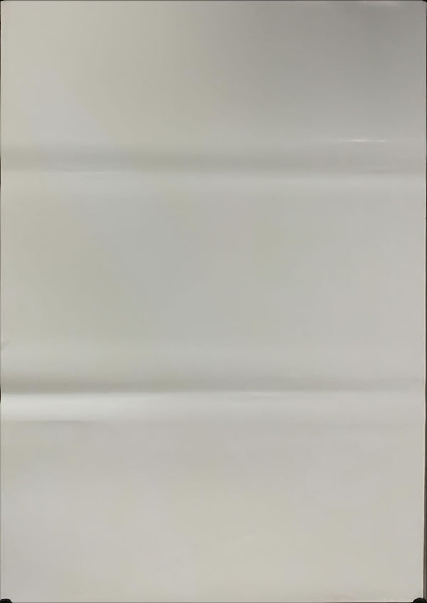 "Leatherface: The Texas Chainsaw Massacre III", Original Release Japanese Movie Poster 1990, B2 Size (51 x 73cm) A102