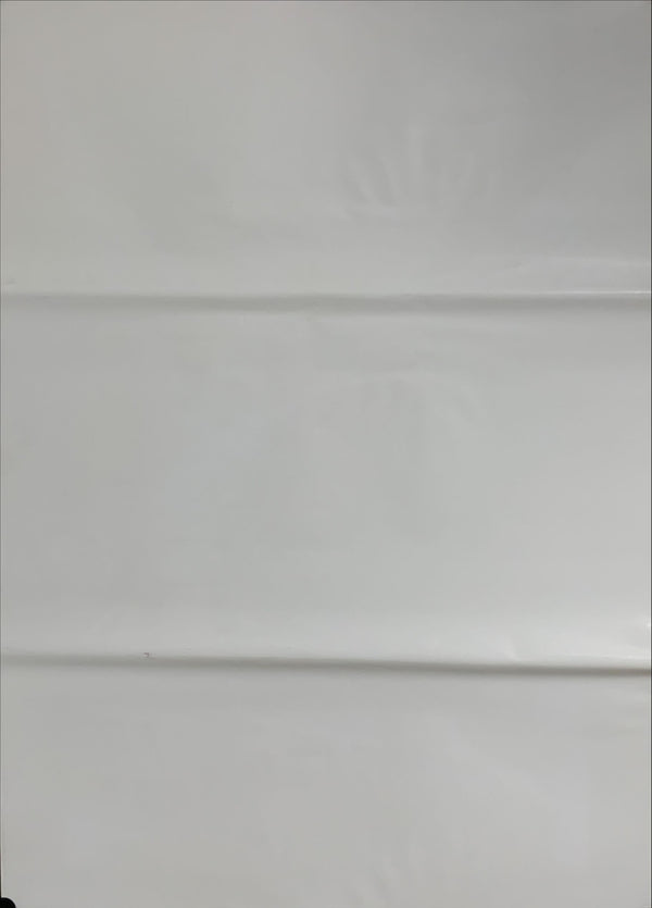 "Street Fighter II: The Animated Movie", Original Release Japanese Movie Poster 1994, B2 Size (51 x 73cm) A165