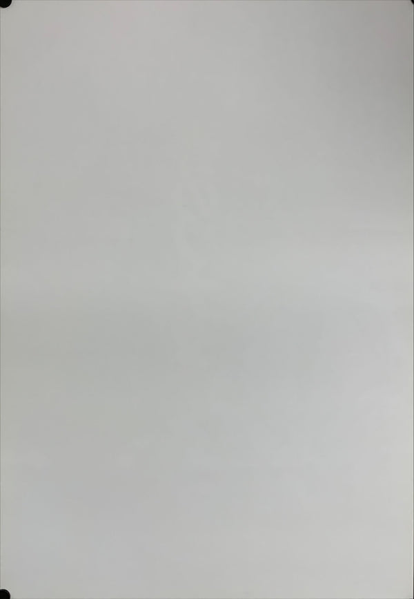 "A Tale of Springtime", Original Release Japanese Movie Poster 1990, B2 Size (51 x 73cm) A209