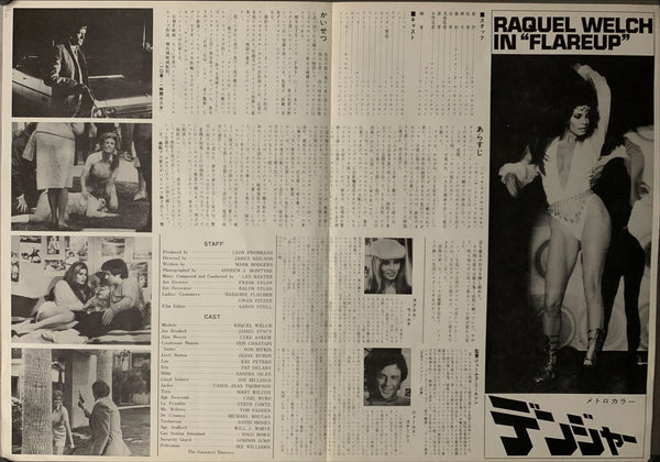 "Flareup", Original Release Japanese Movie Poster 1969, B3 Size (36 x 50 cm) A236