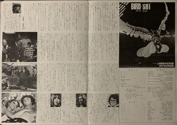 "Brewster McCloud", Original Release Japanese Movie Poster 1970, B3 Size (36 x 50 cm) A243