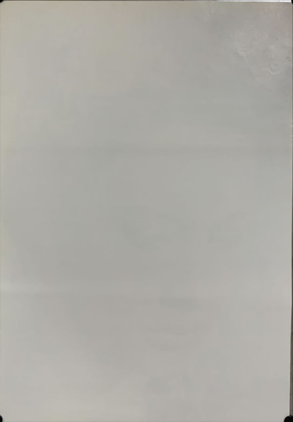 "Sunflower", Original Release Japanese Movie Poster 1974, B2 Size (51 x 73cm) B33