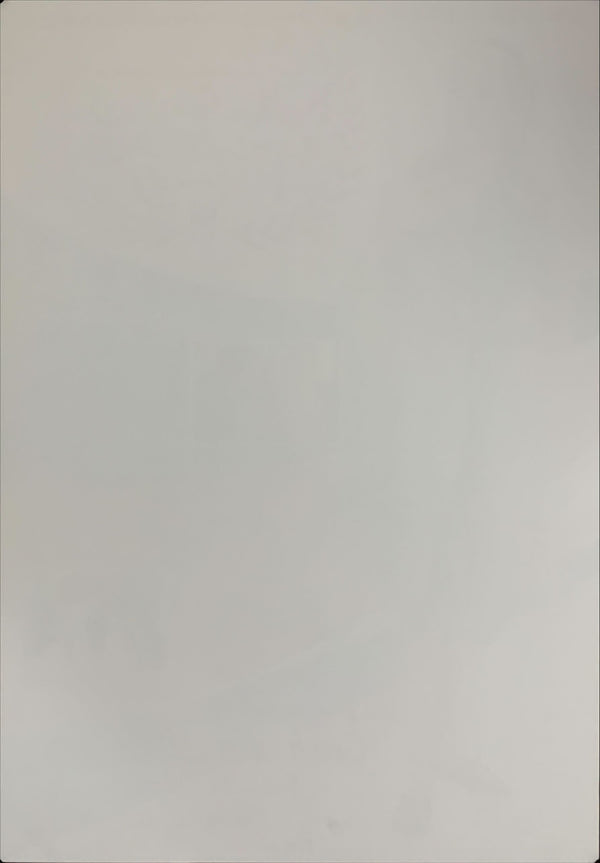 "The Umbrellas of Cherbourg / The Young Girls Of Rochefort", Original Re-Release Japanese Movie Poster 2008, B2 Size (51 x 73cm) B41