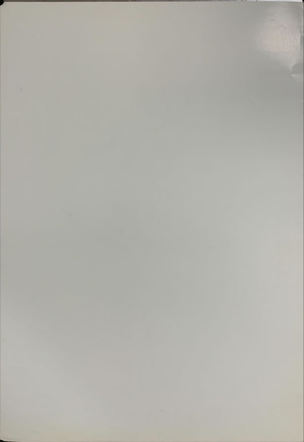 "The Punk Rock Movie", Original Re-Release Japanese Movie Poster 2008, B2 Size (51 x 73cm) B47