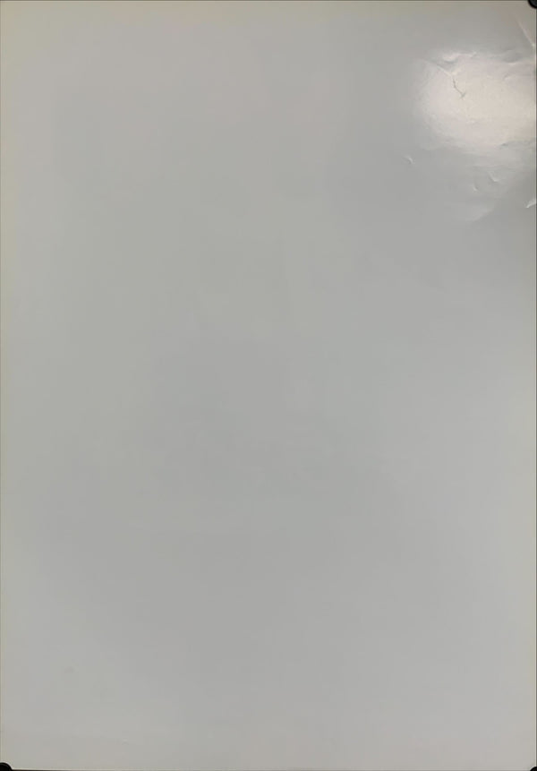 "The Turandot Project", Original Release Japanese Movie Poster 2000, B2 Size (51 x 73cm) B49